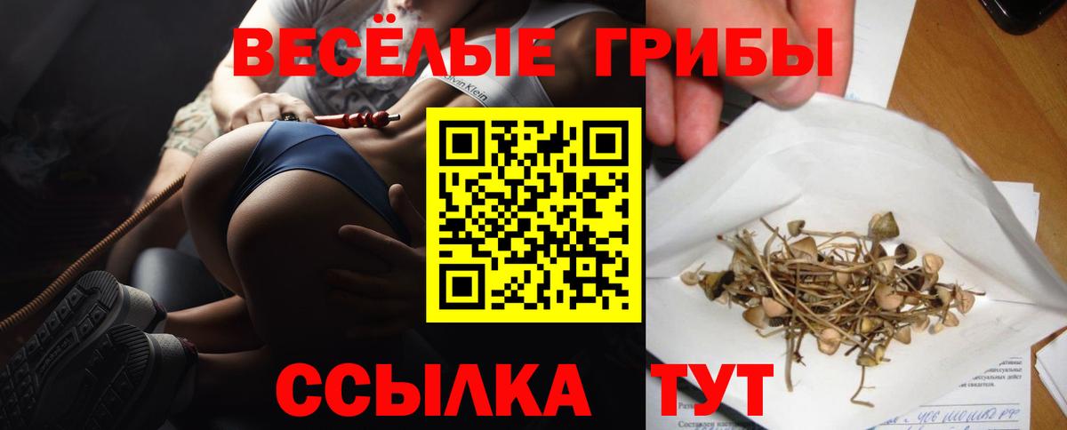 Саранск  Псилоцибиновые грибы Magic Shrooms  Вход с VPN 